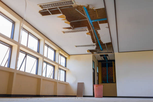 Best Ceiling water damage repair  in Inwood, WV
