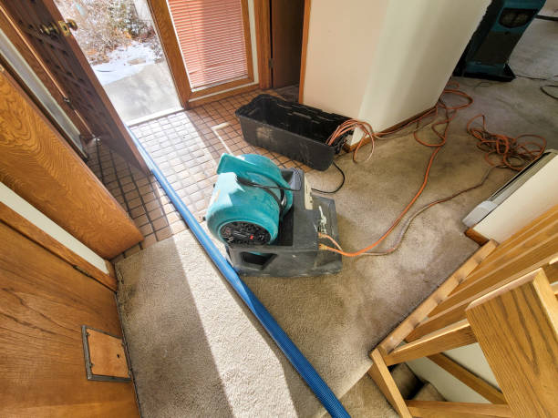 Best Flooded house restoration  in Inwood, WV