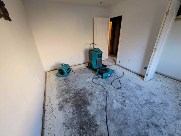 Best Fire Damage Restoration  in Inwood, WV
