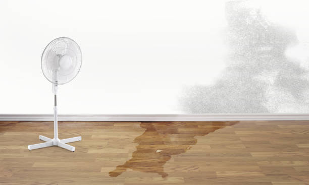 Water damage restoration experts in WV