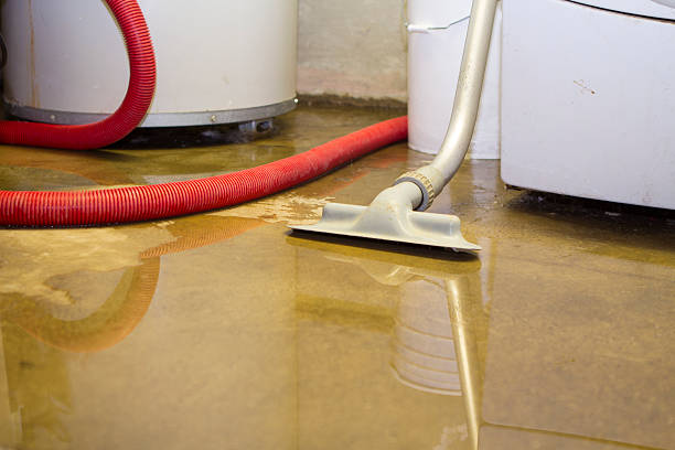 Best Water damage repair service  in Inwood, WV