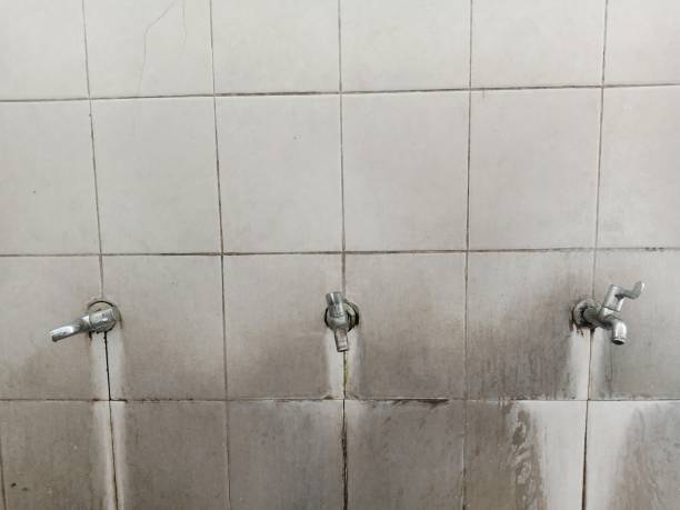 Best Basement water damage restoration  in Inwood, WV