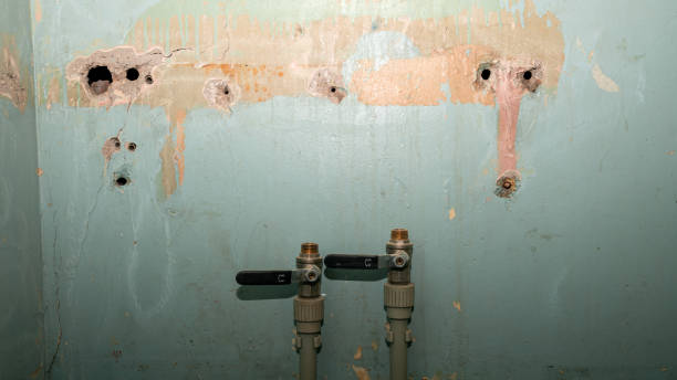 Best Residential water damage restoration  in Inwood, WV