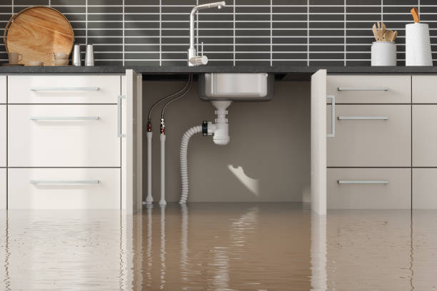 Best Water damage restoration services  in Inwood, WV