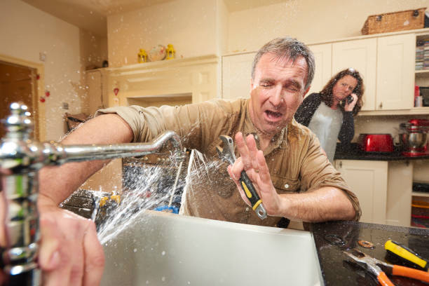 Best Local water damage restoration  in Inwood, WV